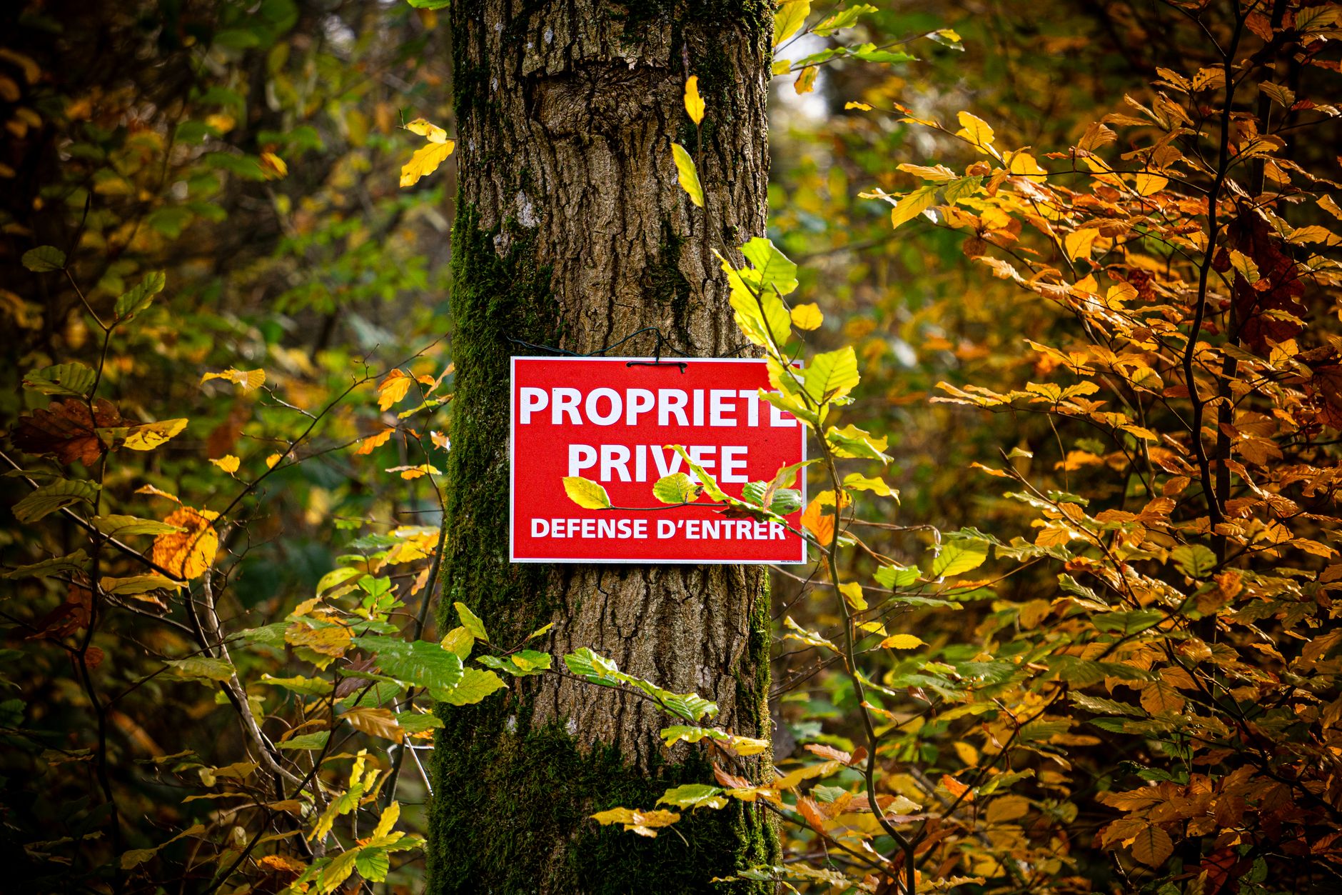 Détective privé à Tourcoing